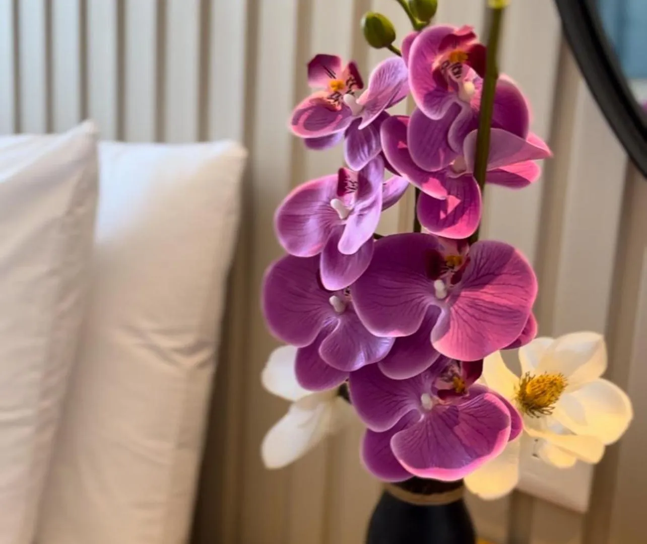 Coralia Boutique Hotel Cozumel