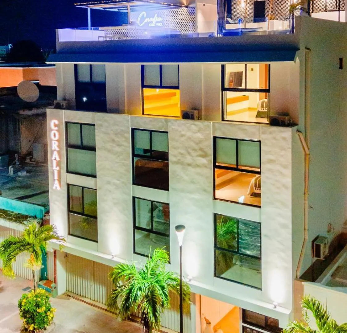 ****  Coralia Boutique Hotel Cozumel Mexico